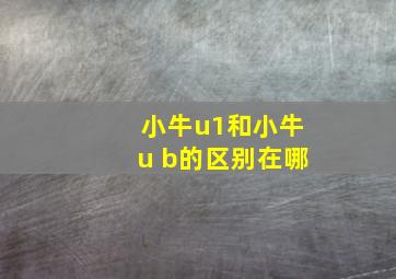 小牛u1和小牛u b的区别在哪